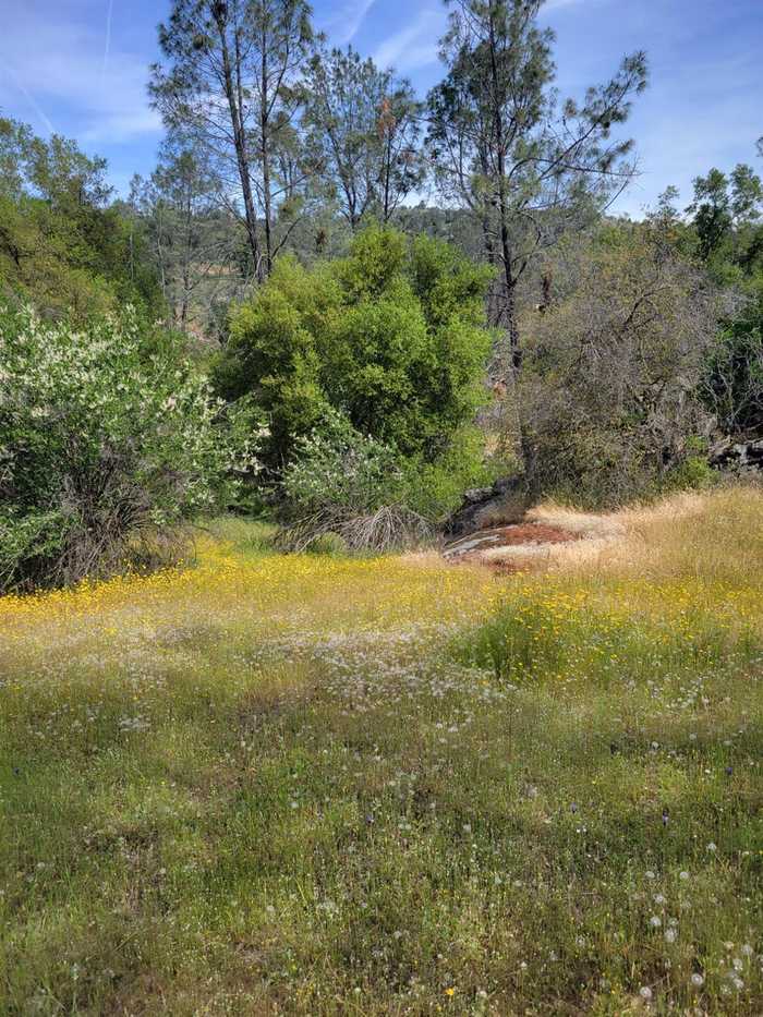 photo 1: 2 Limestone Circle, Coarsegold CA 93614