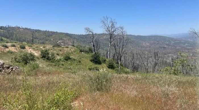 photo 2: 45161 Auberry Road, Auberry CA 93602