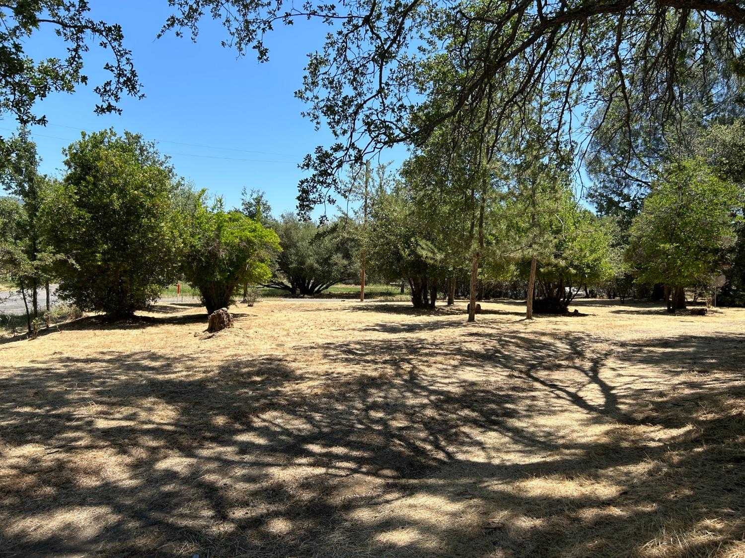 photo 3: 31886 Apache Road, Coarsegold CA 93614