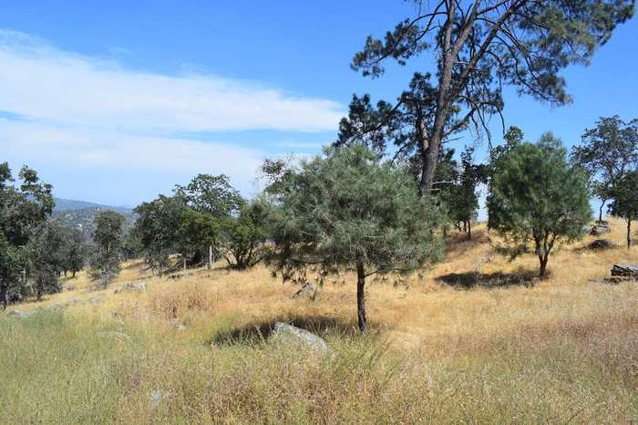 photo 1: 1392 Lilley Mountain Drive, Coarsegold CA 93614