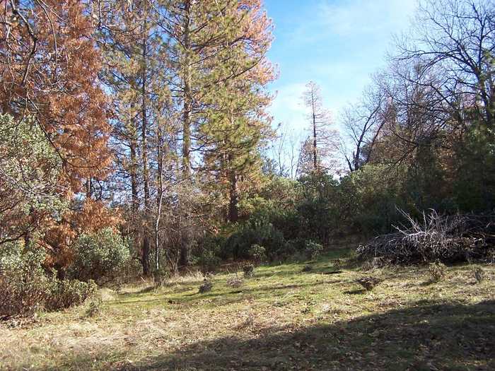 photo 2: 1 Jean Rd, Oakhurst CA 93644