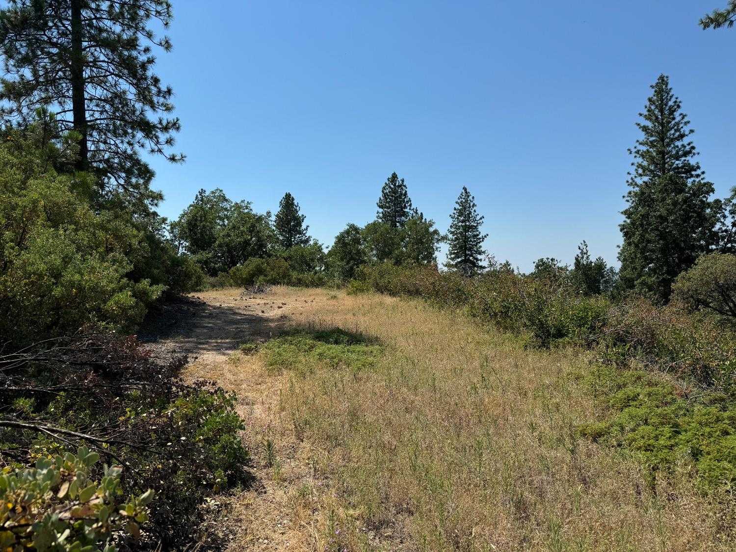 photo 2: 1 Sugarloaf Road, Auberry CA 93602