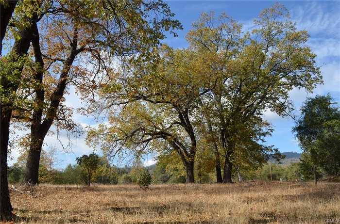 photo 2: 17 Sneezeweed Lane, North Fork CA 93643