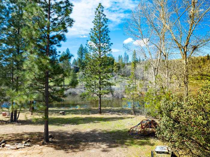 photo 2: 12345 Shaver Springs, Auberry CA 93602