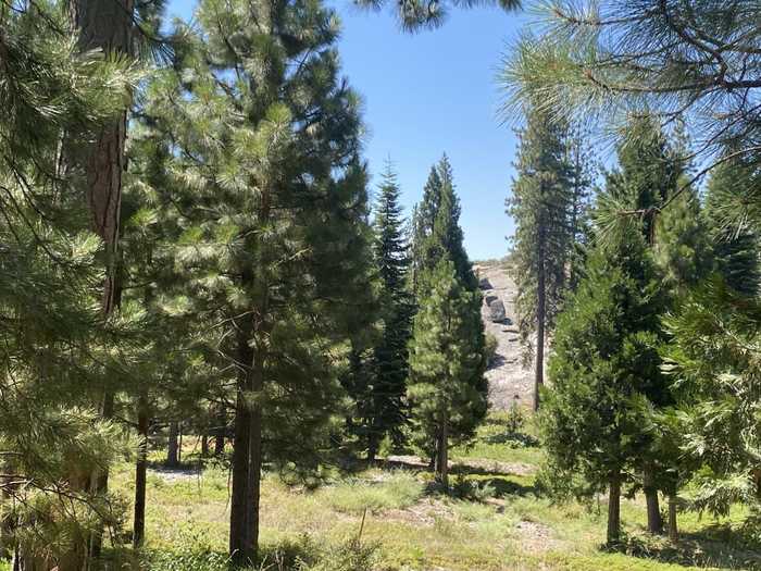 photo 1: 40885 Wild Iris Lane, Shaver Lake CA 93664