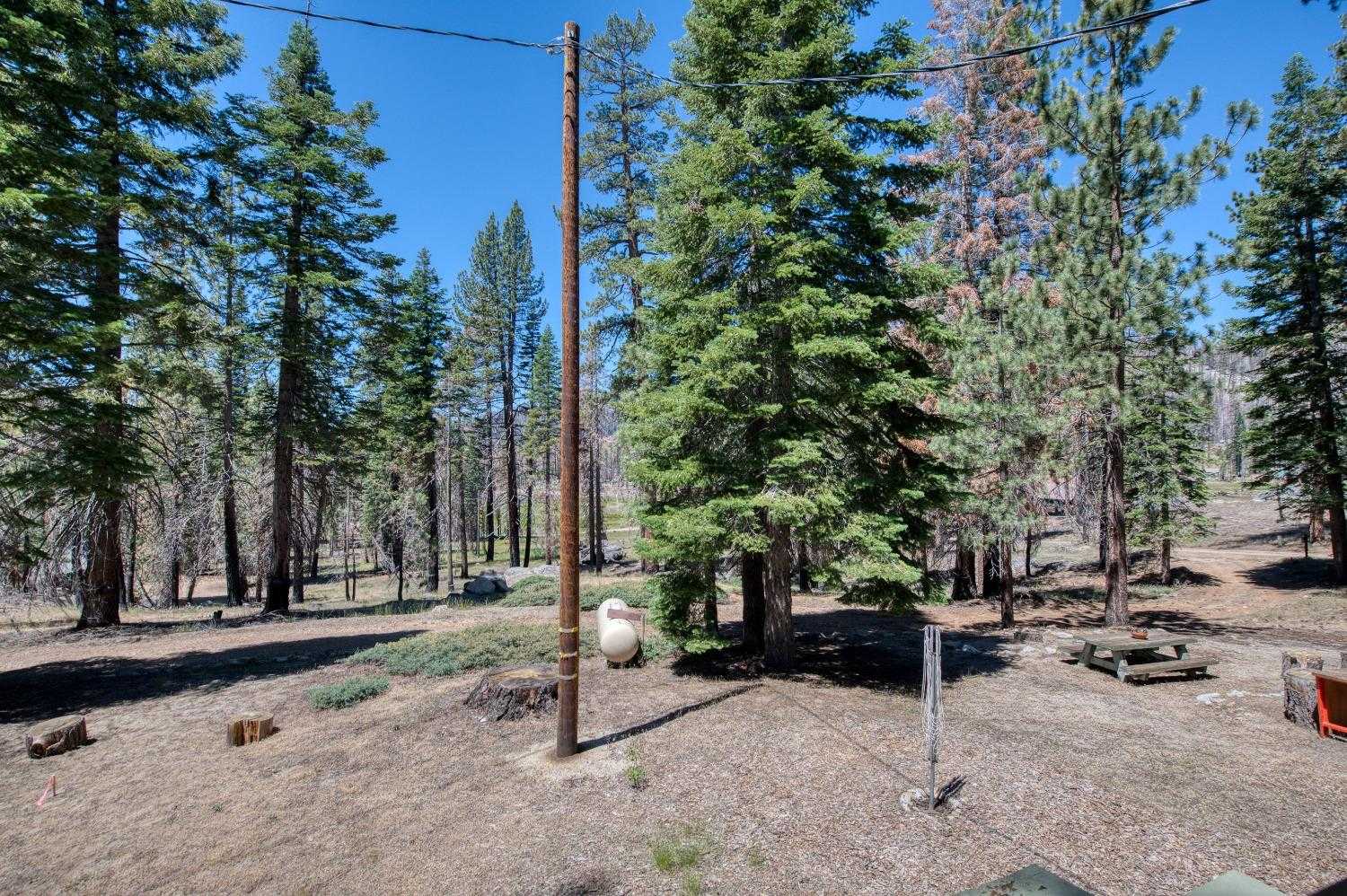 photo 2: 60899 Bear Paw Lane, Huntington Lake CA 93634