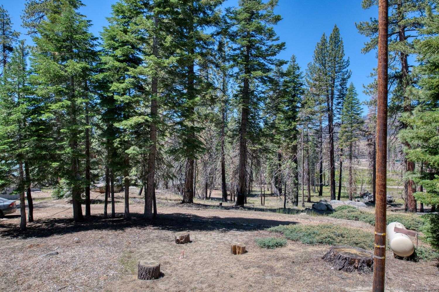 photo 3: 60899 Bear Paw Lane, Huntington Lake CA 93634