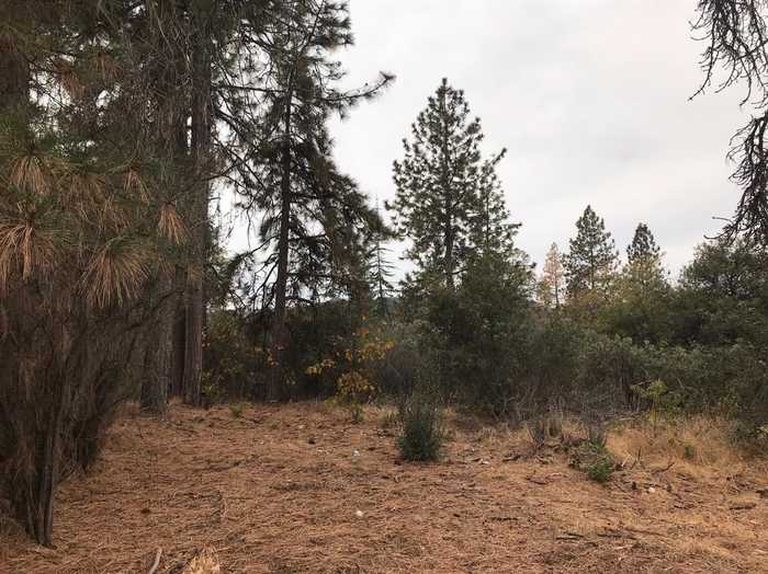 photo 1: 34182 Natoma Road, Auberry CA 93602