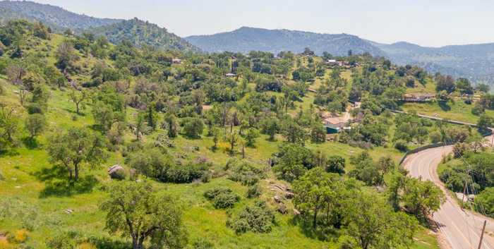 photo 5: Pepperweed, Squaw Valley CA 93675