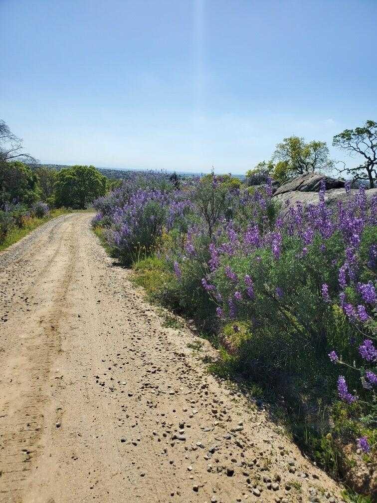 photo 3: Spinecup Ridge, Raymond CA 93653