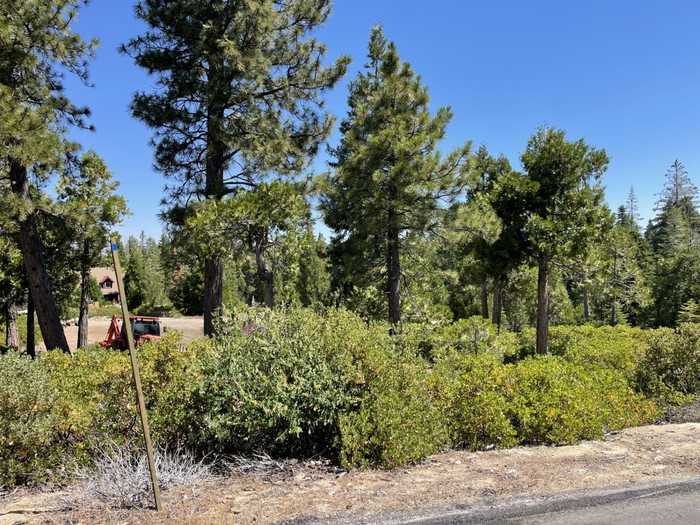 photo 2: 14 Fawn Lilly Lane, Shaver Lake CA 93664