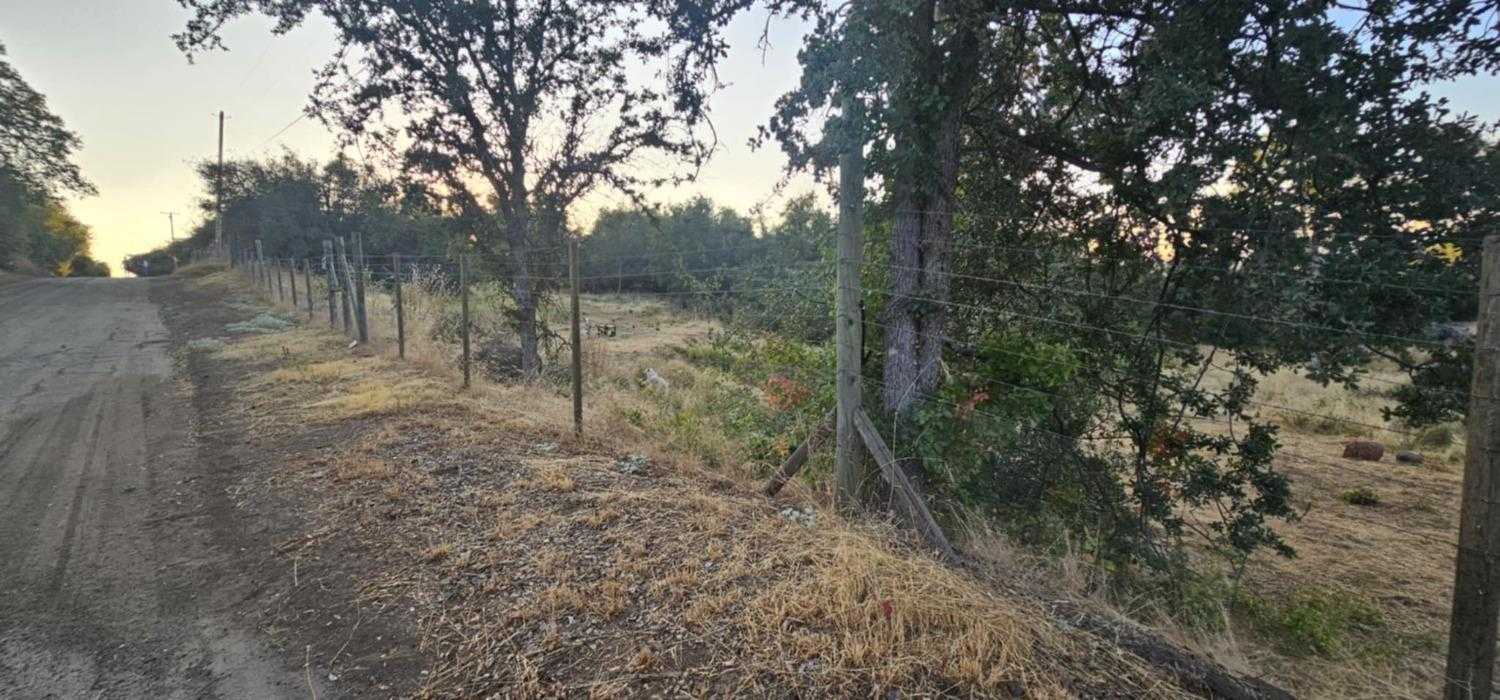 photo 3: 1 Greenhill Lot 596 Road, Squaw Valley CA 93675