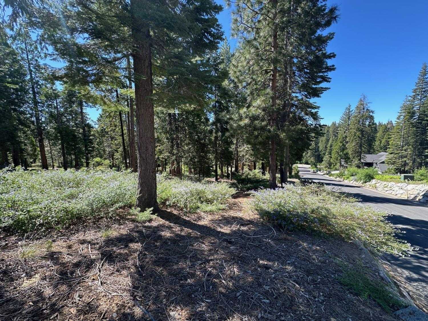 photo 3: 42142 Opal Lane, Shaver Lake CA 93664