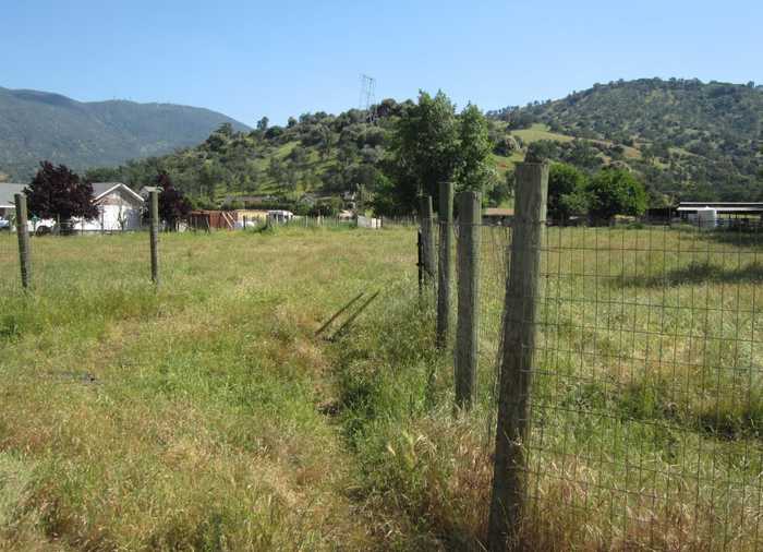 photo 2: Elwood Road, Wonder Valley CA 93657