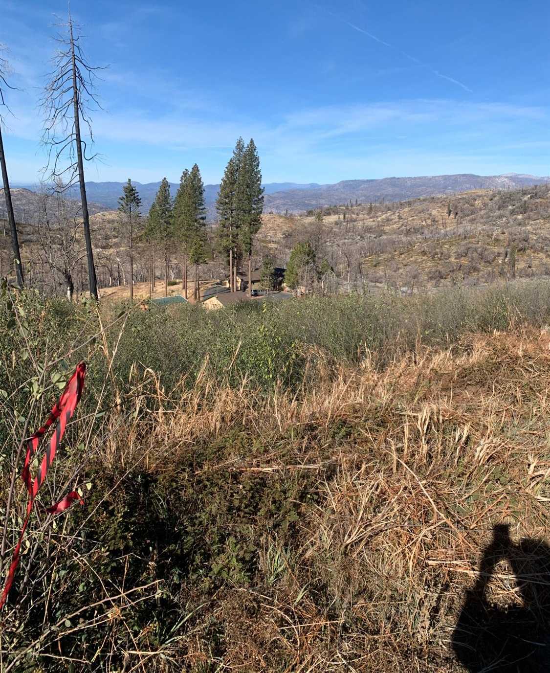 photo 2: Solitude  Lane, Shaver Lake CA 93664