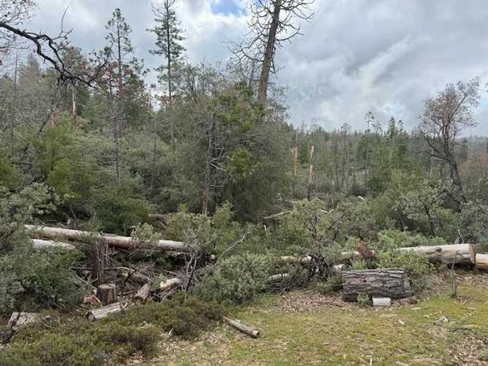 photo 2: Auberry Road/Honey Ln, Auberry CA 93602