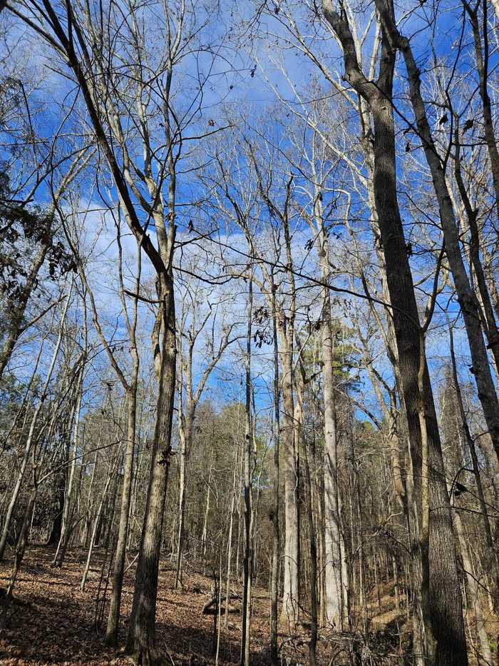 photo 1: LOT 4 ELBERTON Highway, Lincolnton GA 30817