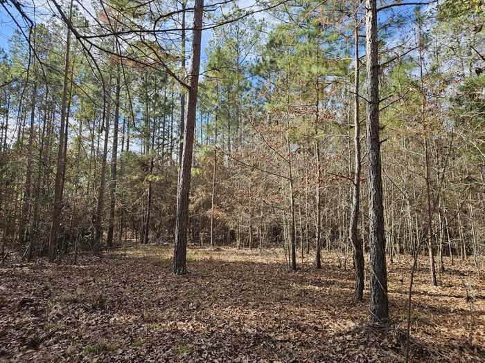 photo 2: LOT 4 ELBERTON Highway, Lincolnton GA 30817