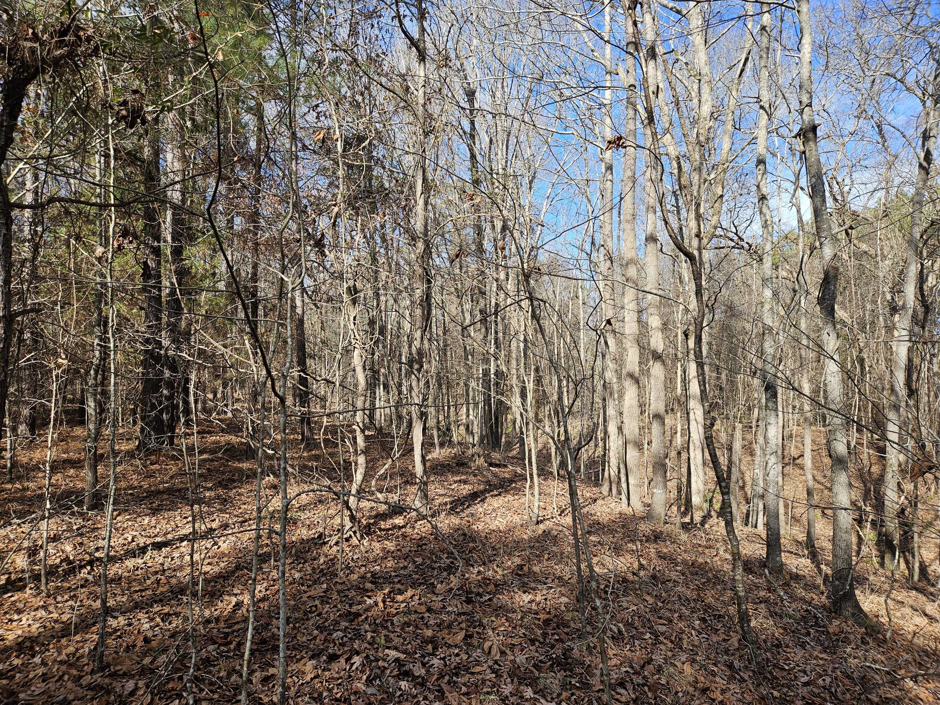 photo 3: LOT 4 ELBERTON Highway, Lincolnton GA 30817