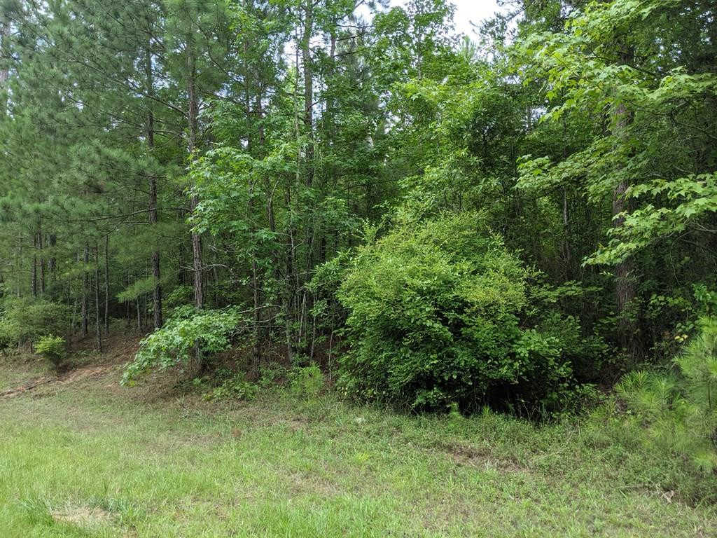 photo 1: Lot 1 Indian Road, Lincolnton GA 30817