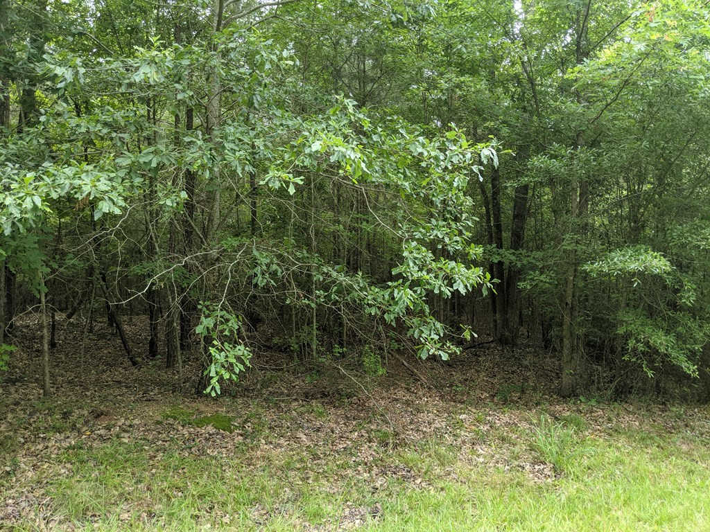 photo 3: Lot 1 Indian Road, Lincolnton GA 30817