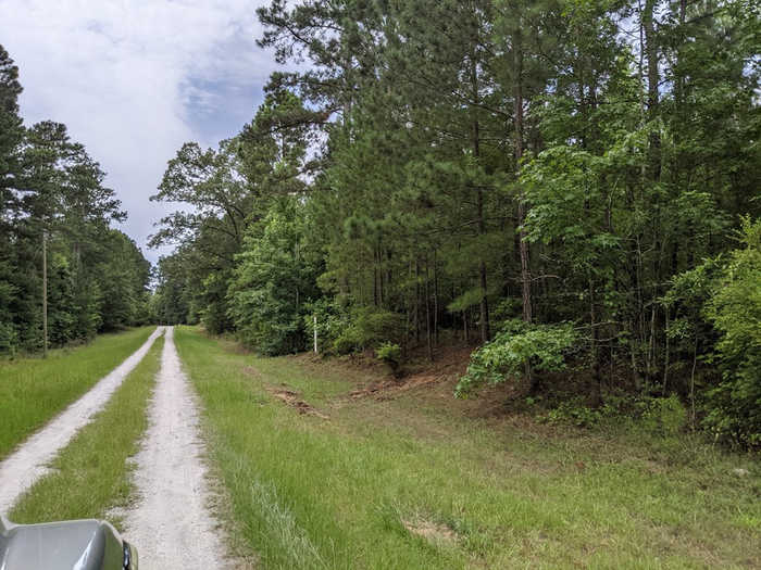 photo 4: Lot 1 Indian Road, Lincolnton GA 30817