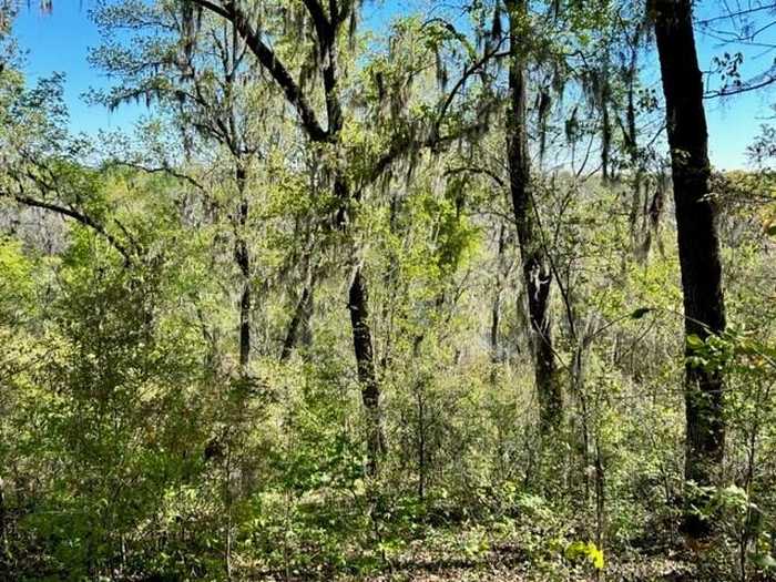 photo 2: 2 LOT ON RIVER, Girard GA 30426