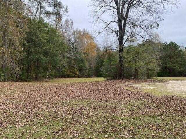 photo 1: 6384 COBBHAM Road, Appling GA 30802