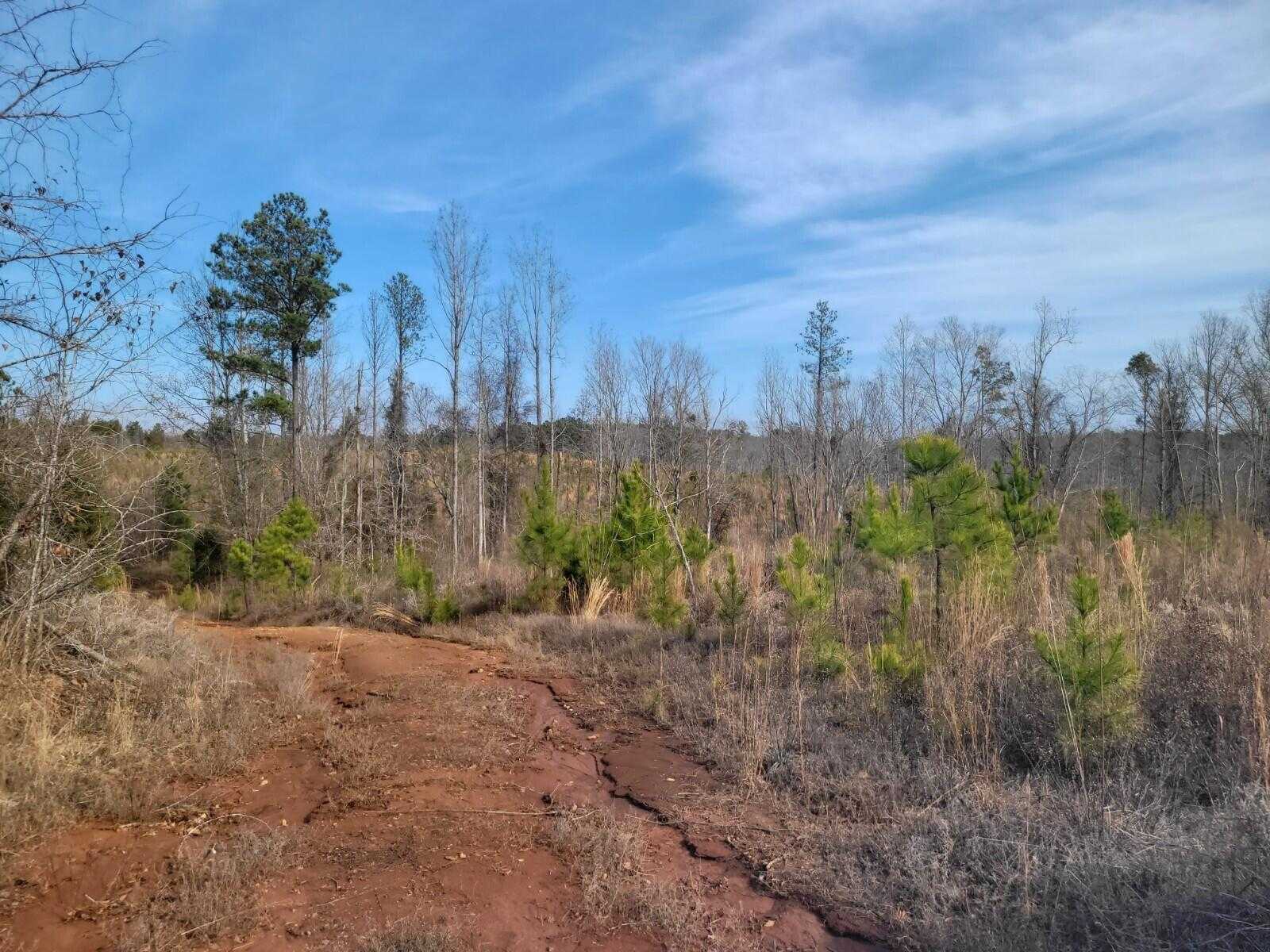 photo 1: ELBERTON HWY, Lincolnton GA 30817