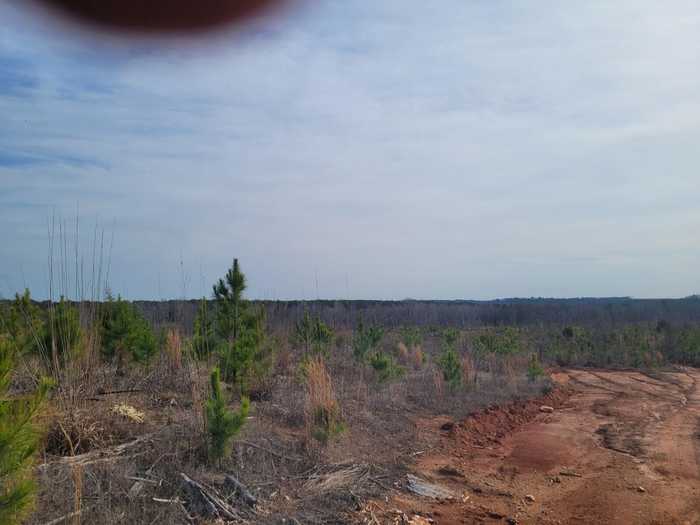 photo 1: ELBERTON HWY, Lincolnton GA 30817