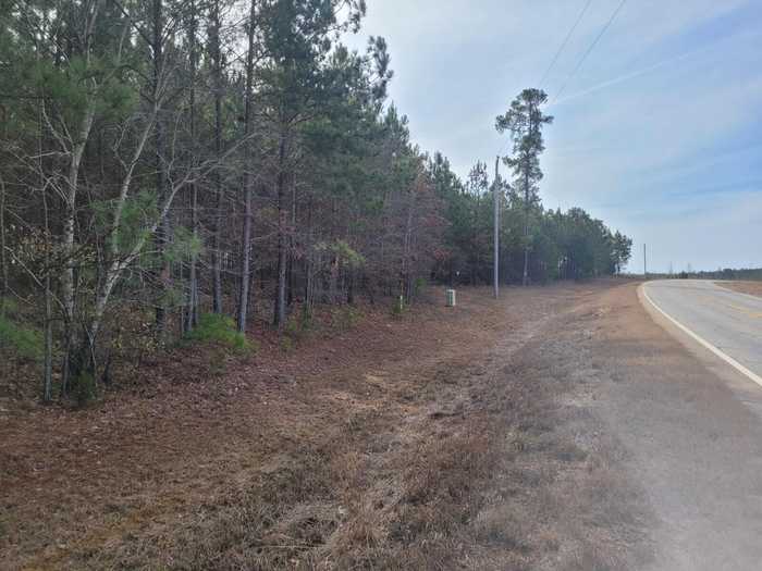 photo 10: ELBERTON HWY, Lincolnton GA 30817