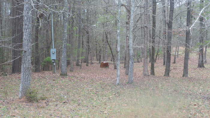 photo 2: DEER  RUN CT Court, Lincolnton GA 30817