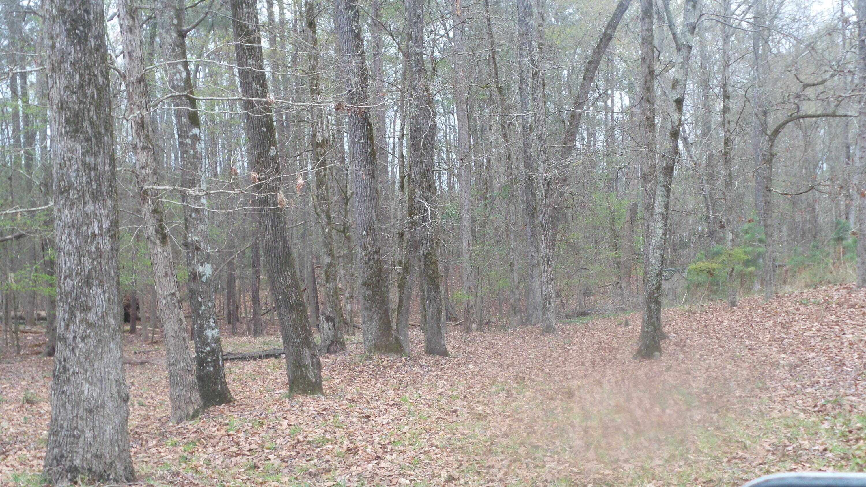 photo 3: DEER  RUN CT Court, Lincolnton GA 30817