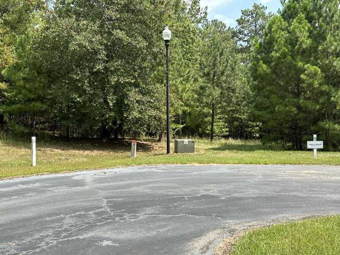 photo 1: 14-15 NORTH POINTE Drive, Tignall GA 30668