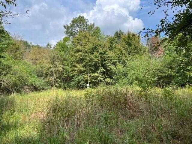 photo 2: 4686-4712 DOUBLE BRANCH Road, Lincolnton GA 30817