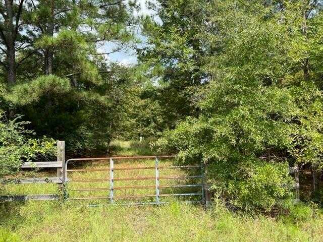 photo 3: 4686-4712 DOUBLE BRANCH Road, Lincolnton GA 30817