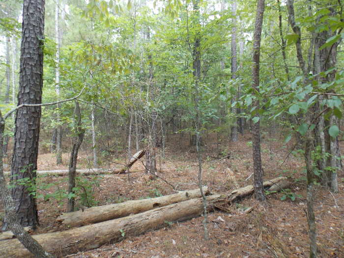 photo 2: 35 LBK CIRCLE, Tignall GA 30668