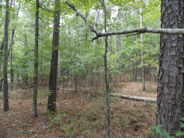 photo 3: 35 LBK CIRCLE, Tignall GA 30668