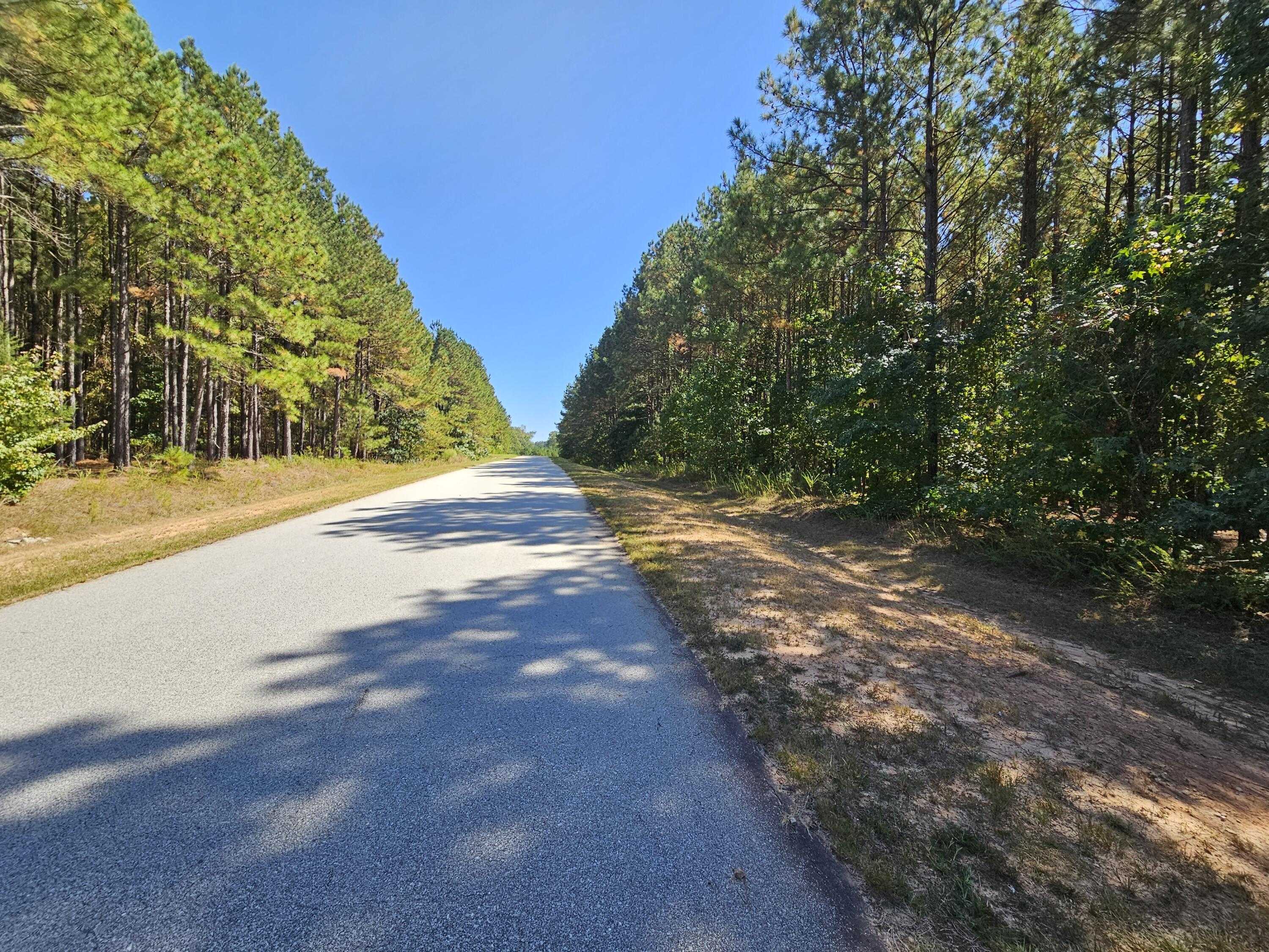 photo 2: 1235 EDGE Lane, Tignall GA 30668