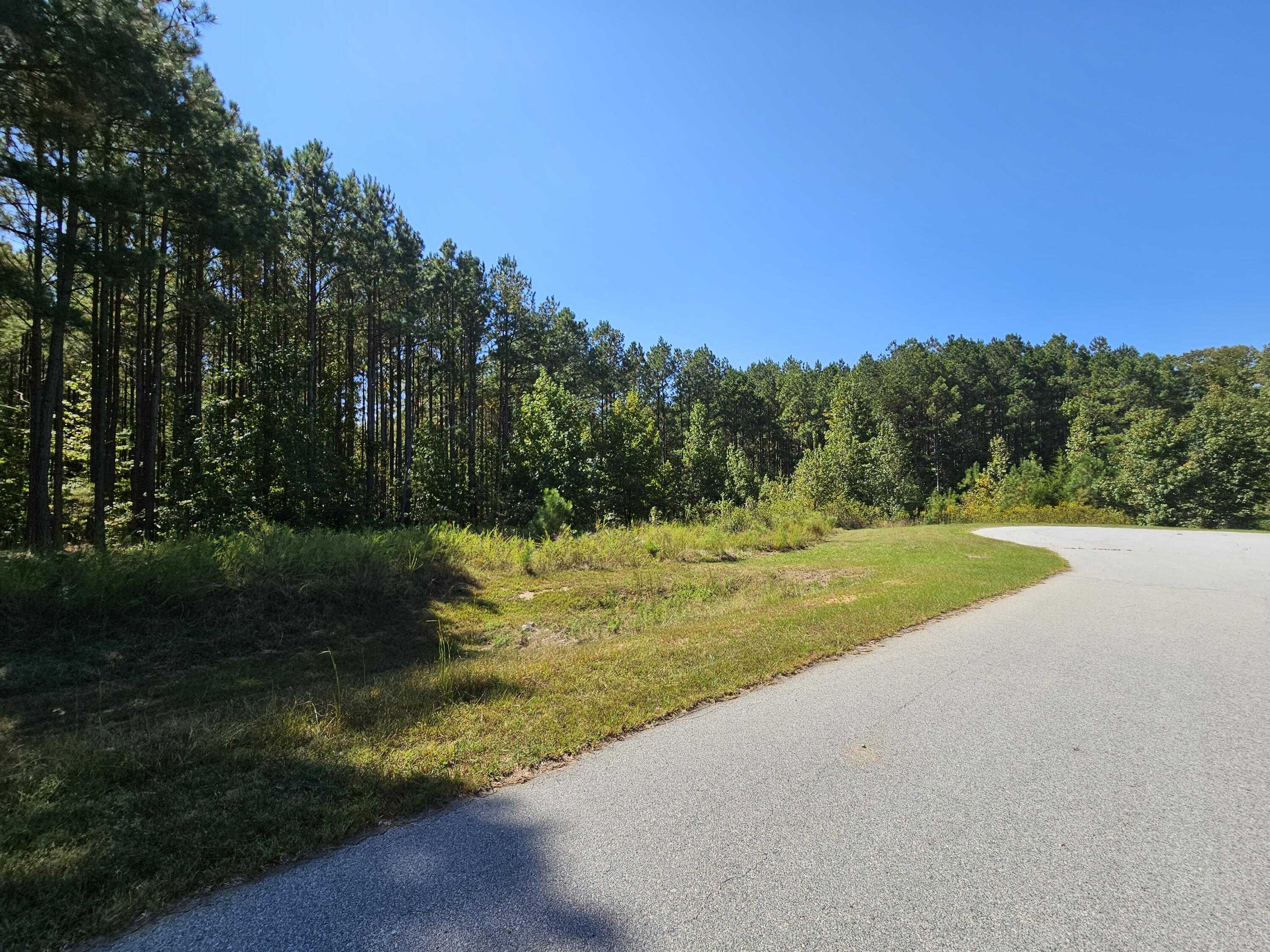 photo 3: 1229 EDGE Lane, Tignall GA 30668