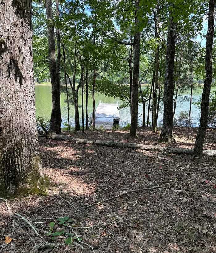 photo 11: LOT 10 S POINTE SHORES, Tignall GA 30668