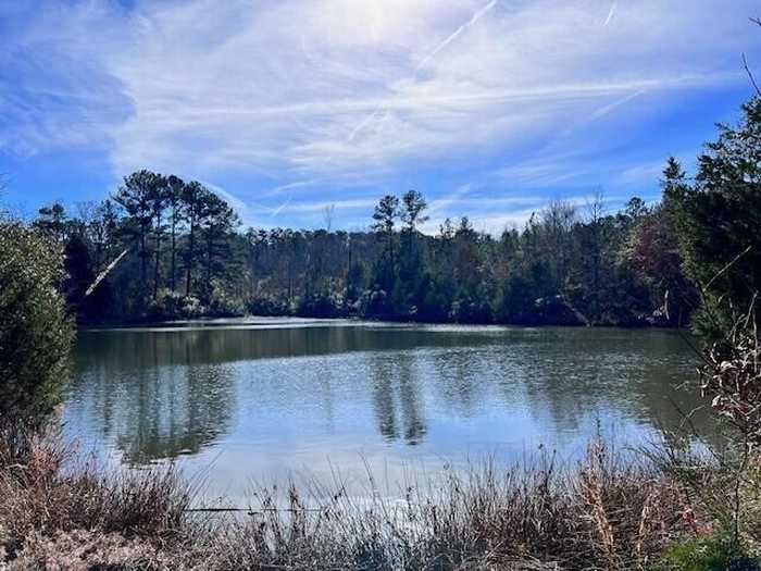 photo 11: 265 LOST POND Lane, Appling GA 30802