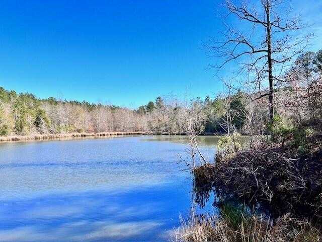 photo 2: 265 LOST POND Lane, Appling GA 30802