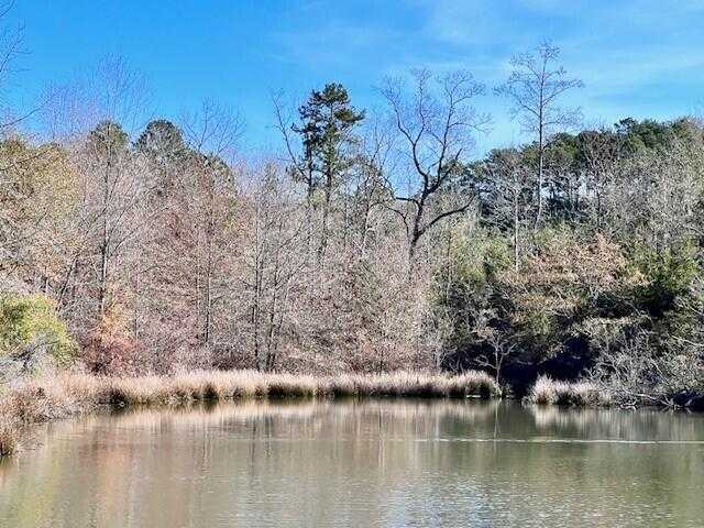 photo 3: 265 LOST POND Lane, Appling GA 30802