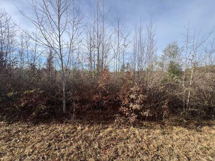 photo 1: LOT1 HEPHZIBAH CHURCH ROAD, Lincolnton GA 30817