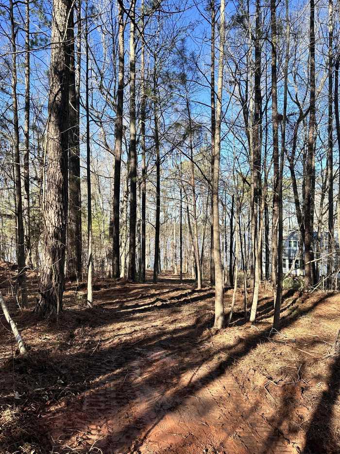 photo 11: SAVANNAH BAY Drive, Lincolnton GA 30817