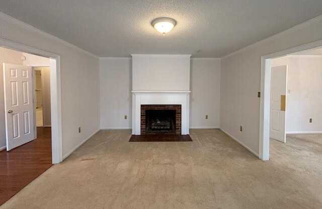 photo 3: 2887 TWIN PINE Road, Thomson GA 30824