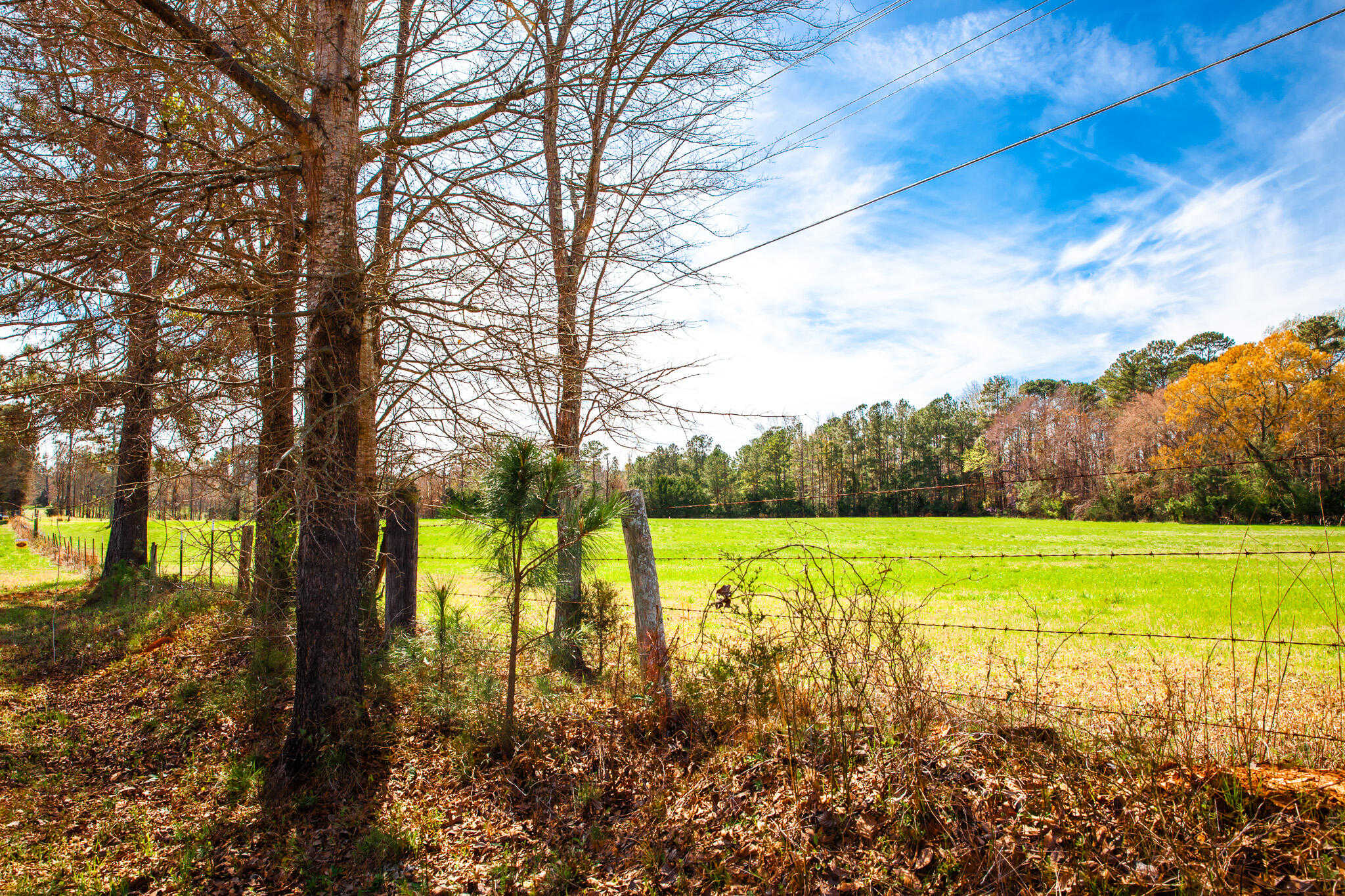 photo 3: LOT 2 MISTLETOE RD, Appling GA 30802