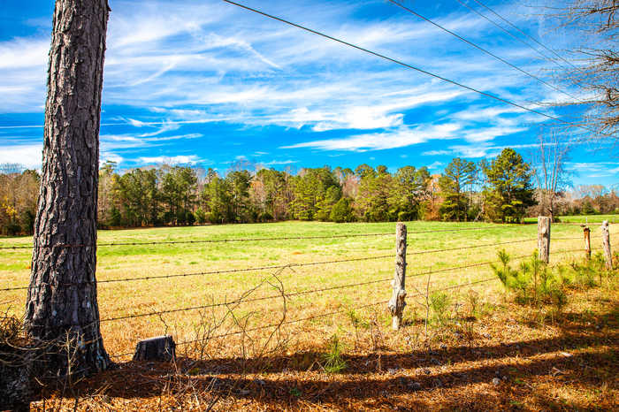 photo 12: LOT 3 MISTLETOE RD, Appling GA 30802