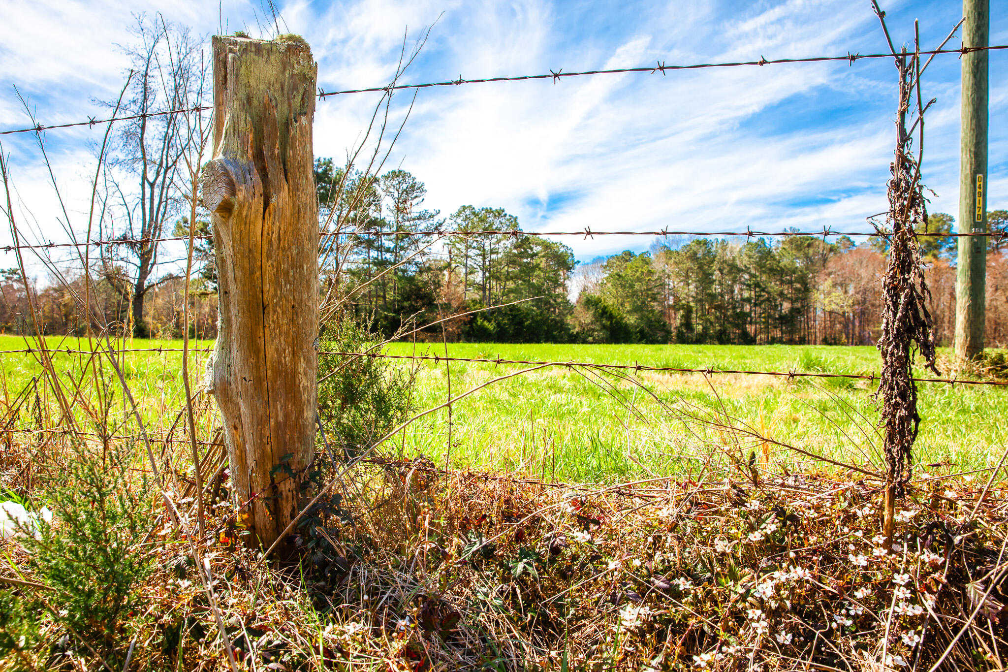 photo 3: LOT 3 MISTLETOE RD, Appling GA 30802